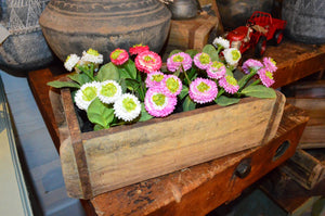 Vacker Mini Bellis. Med svart innerkruka i plast. Naturtrogen konstgjord blomma som har evig livslängd!  Mått Blomma: H 13cm  Mått Kruka: Höjd: 5 cm, Ø4 cm