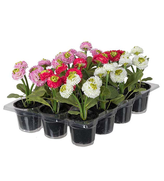 Vacker Mini Bellis. Med svart innerkruka i plast. Naturtrogen konstgjord blomma som har evig livslängd!  Mått Blomma: H 13cm  Mått Kruka: Höjd: 5 cm, Ø4 cm